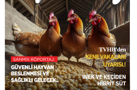 Temmuz 2025 Dergi