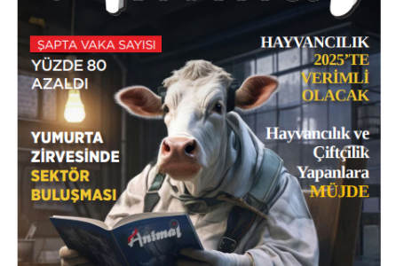 Aralık 2024 Dergi