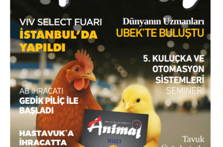 Mayıs 2025 Dergi