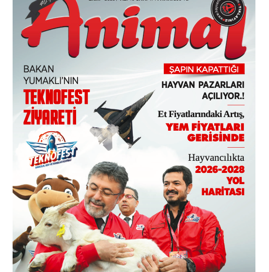  Ekim 2025 Dergi
