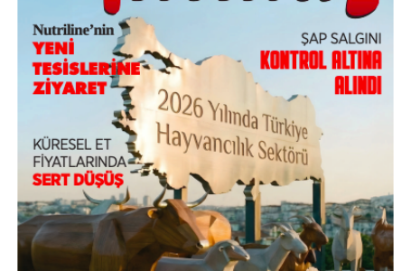 Aralık 2025 Dergi