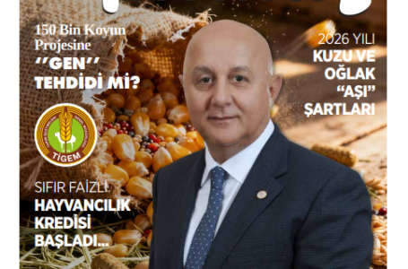 Nisam 2026 Dergi