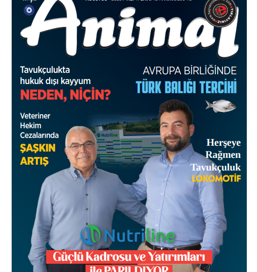  Ağustos 2026 Dergi